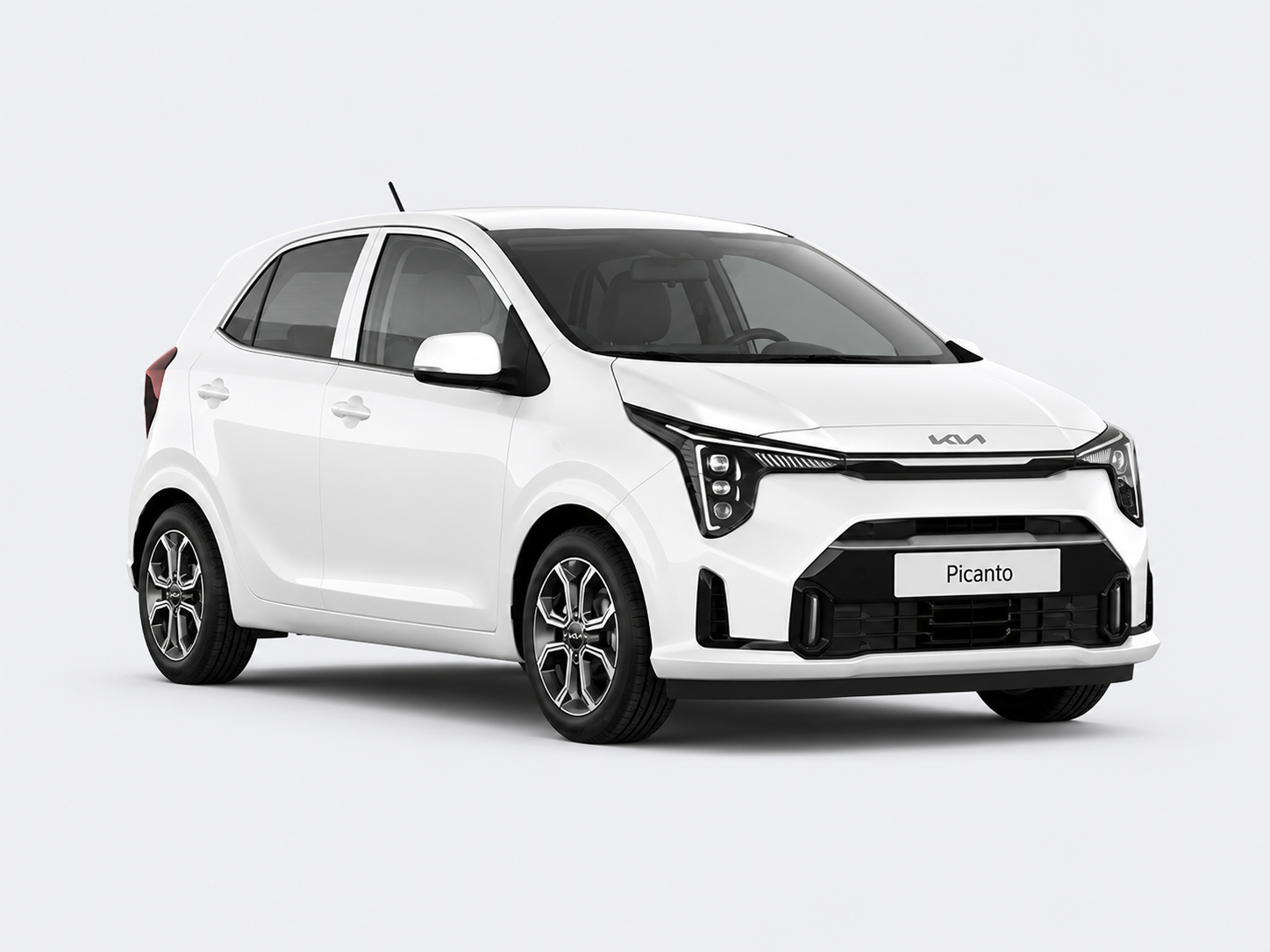 alquiler kia picanto cali alquiler kia picanto cali